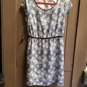 Loft Blue and white flowered dress
